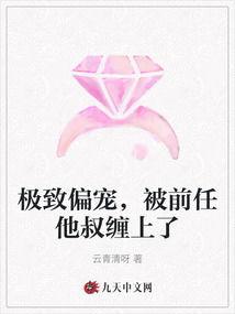 极致偏宠,极致偏宠的温馨故事