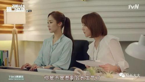 向秘书为何那样,背后的故事与成因