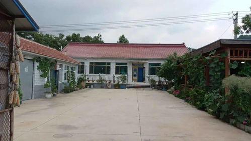 我家小祖镇四方,四方汇聚，魅力无限